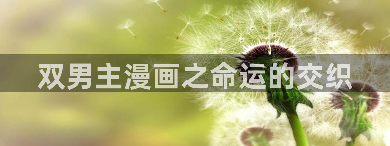 韩漫漫画无删减免费阅读：双男主漫画之命运的交织